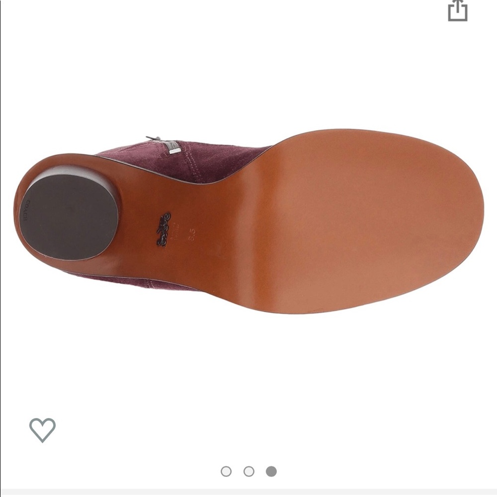 NWT Coach OMBRÉ Heel Suede Boots  Size 5B BEAUTIFUL!!! - Picture 5 of 12